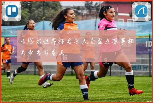 卡塔尔世界杯名字大全盘点赛事相关命名与看点