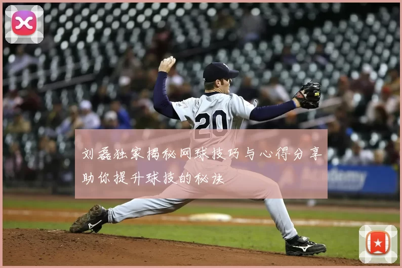 刘磊独家揭秘网球技巧与心得分享助你提升球技的秘诀