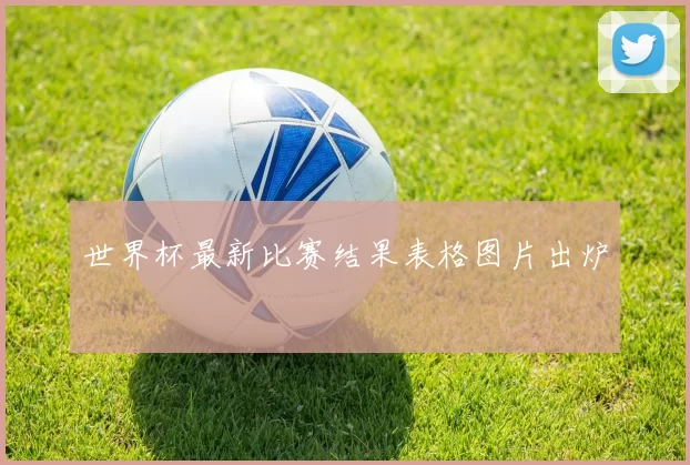 世界杯最新比赛结果表格图片出炉