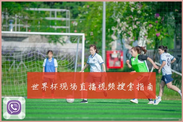 世界杯现场直播视频搜索指南