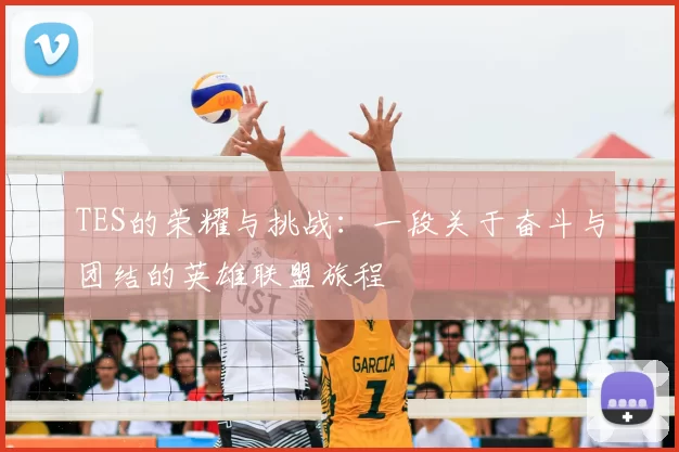 TES的荣耀与挑战:一段关于奋斗与团结的英雄联盟旅程