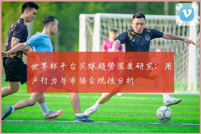 世界杯平台买球趋势深度研究：用户行为与市场合规性分析