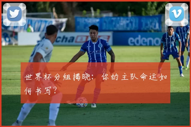 世界杯分组揭晓:你的主队命运如何书写?