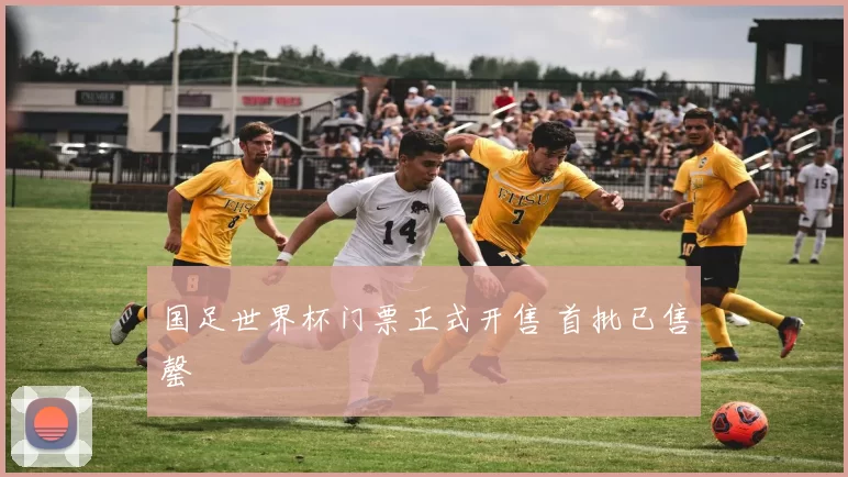 国足世界杯门票正式开售 首批已售罄