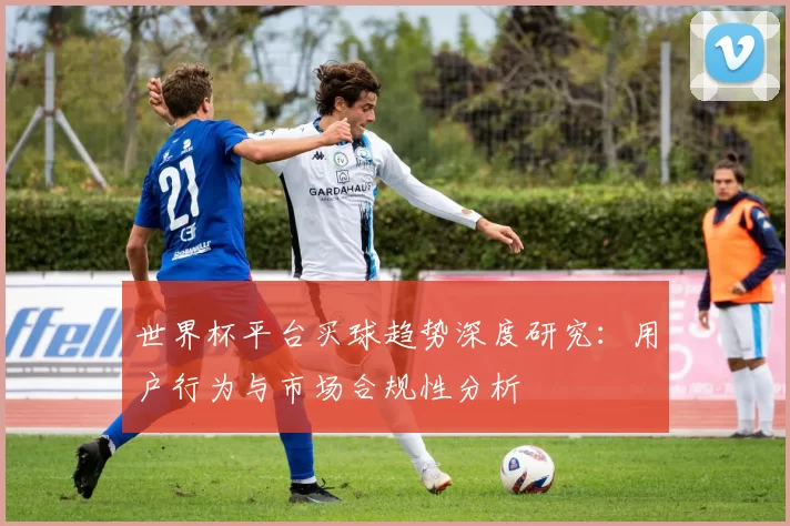 世界杯平台买球趋势深度研究：用户行为与市场合规性分析