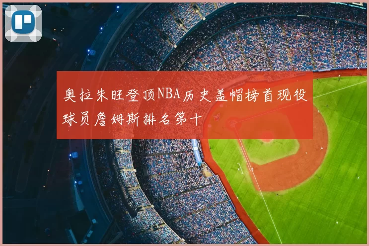 奥拉朱旺登顶NBA历史盖帽榜首现役球员詹姆斯排名第十