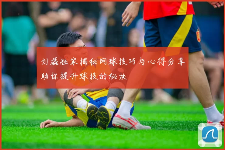 刘磊独家揭秘网球技巧与心得分享助你提升球技的秘诀