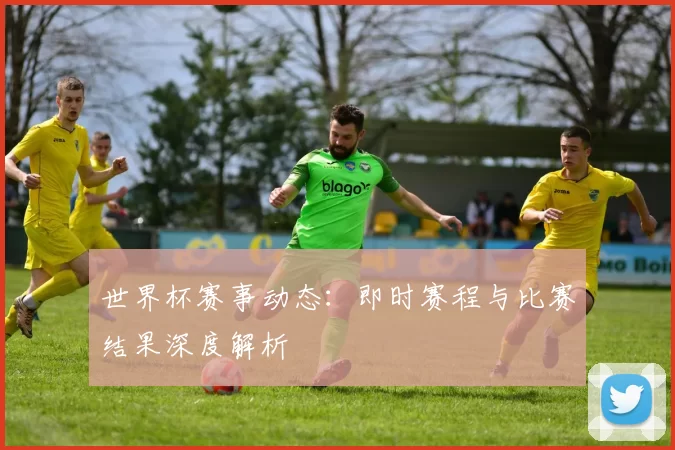 世界杯赛事动态:即时赛程与比赛结果深度解析