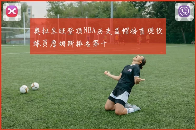 奥拉朱旺登顶NBA历史盖帽榜首现役球员詹姆斯排名第十