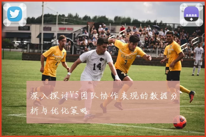 深入探讨V5团队协作表现的数据分析与优化策略