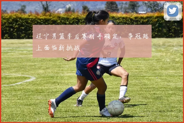 辽宁男篮季后赛对手确定，争冠路上面临新挑战