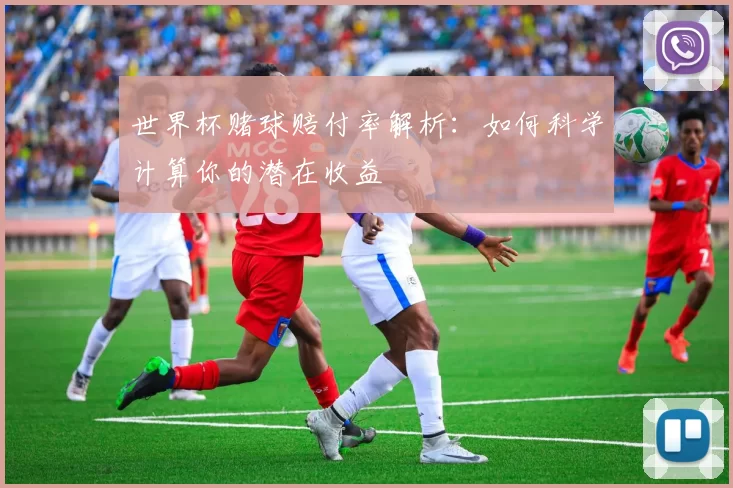 世界杯赌球赔付率解析:如何科学计算你的潜在收益